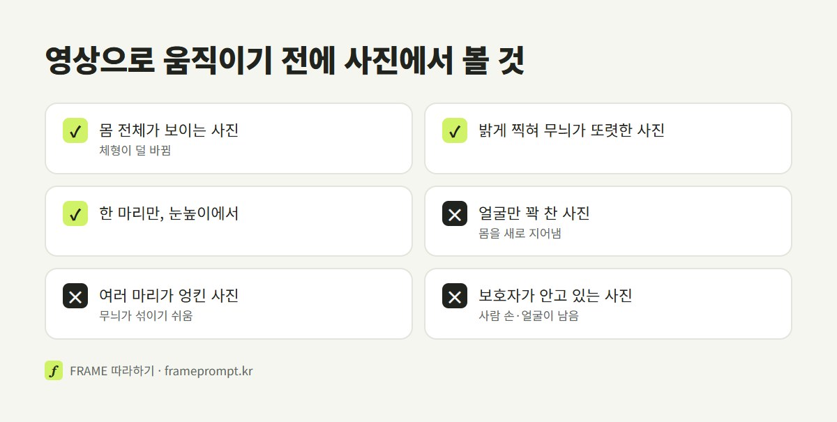 반려동물 영상에 잘 맞는 사진과 피할 사진을 표시한 확인 목록
